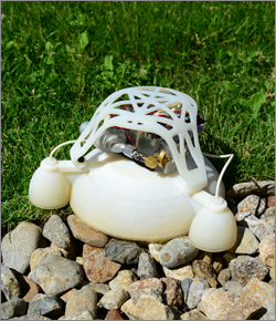 The robot is durable and squishy to the touch – perfect attributes for a robot designed to jump across rough terrain and be safe for use in close proximity to humans. (Credit: Wyss Institute at Harvard University)