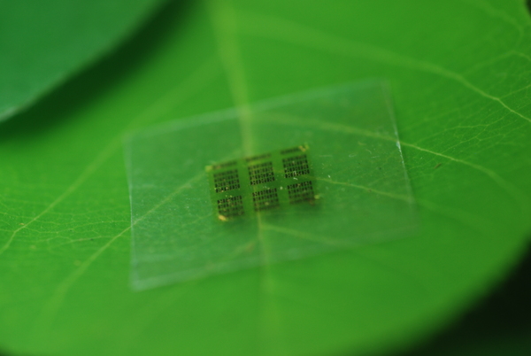 A cellulose nanofibril (CNF) computer chip rests on a leaf.