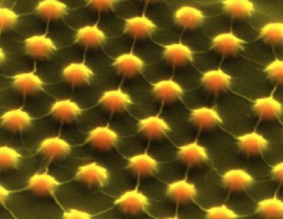 ultra thin layer of semiconductor material stretched over the peaks and valleys of part of a device the size of a pinkie nail. Just three atoms thick, this semiconductor layer is stretched in ways enhance its electronic potential to catch solar energy. (Image via Hong Li, Stanford Engineering)
