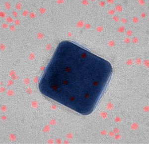 Nanoscale view of the new superfast fluorescent system using a transmission electron microscope. (Image credit: Maiken Mikkelsen, Duke University)