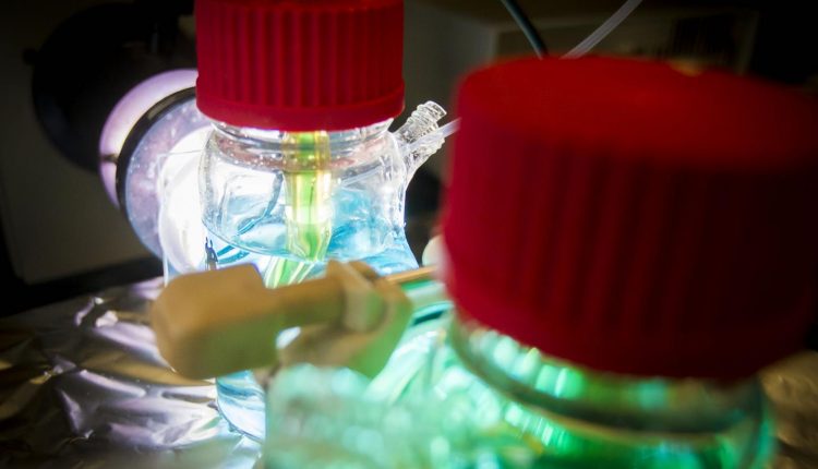 The UT Arlington team developed a new solar cell that is more efficient and can store solar energy even at night. (Image: UT Arlington)