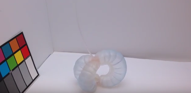 Camouflaging robots. (Image via YouTube/Duke University)