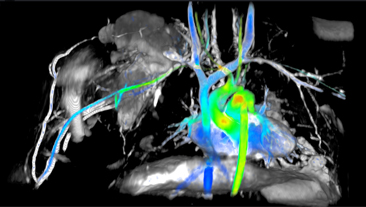 Viosworks. (Image Credit: GE Healthcare)