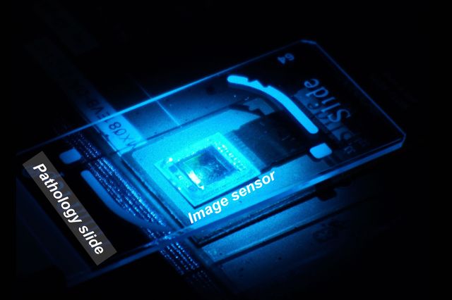 The image sensor of the wavelength scanning super-resolution apparatus collects a “stack” of images of the sample. (Image Credit: Ozcan Lab)