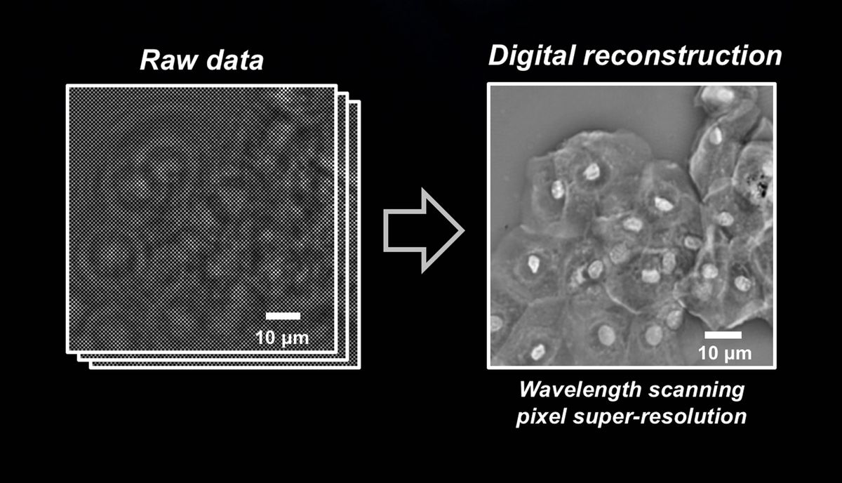 Image shows the data before the technique is employed and after.(Image Credit: Ozcan Lab)