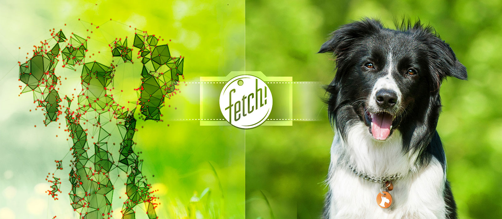 Fetch! (Image via Microsoft)