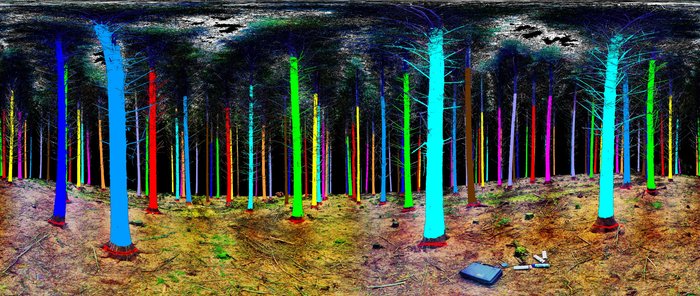 Treemetrics woodland laser scan. (Image Credit: Treemetrics)