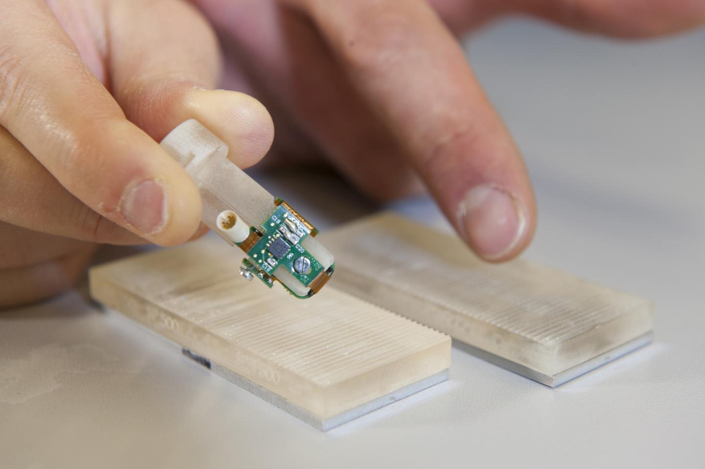 (Image Credit: Hillary Sanctuary / EPFL)
