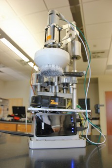 (Image via University of Georgia)