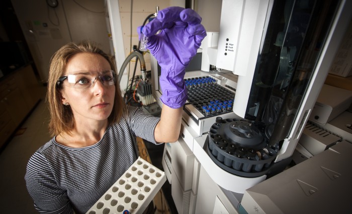 chemist Sarah Baker holds a gas chromatography vial used to measure the amount of methanol produced by the enzyme-embedded polymer. (Image Credit: George Kitrinos/LLNL)
