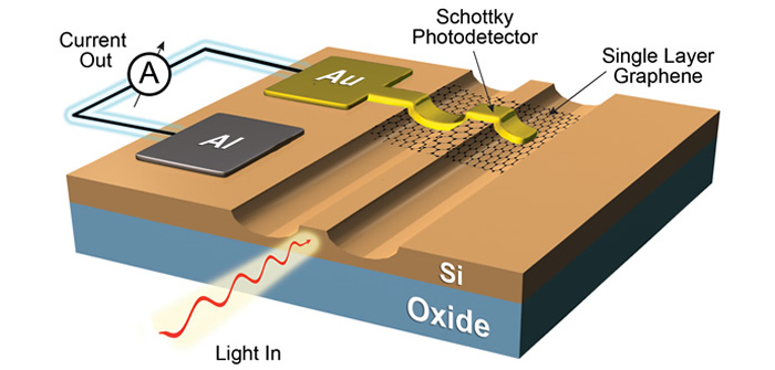 Credit: Dr Ilya Goykhman, University of Cambridge, Cambridge Graphene Centre