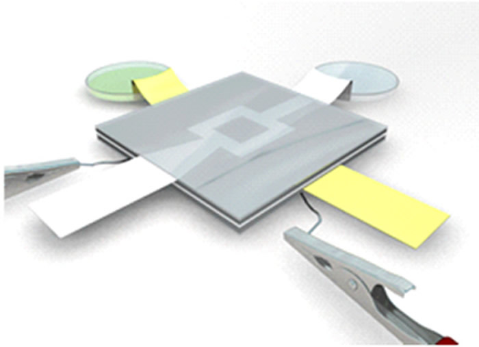 A 3D paper-based MFC system is developed to produce current. The device allows flow of the streams of Shewanella Oneidensis MR-1 (yellow) and the Potassium Ferricyanide (white) into the chambers. Proton exchange membrane is placed between the two chambers to separate the two liquids as well as allow the positively charged ions released in the biocatalytic breakdown of the anolyte to flow from the anode to the cathode. Credit: World Scientific