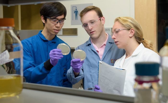 Christian Choe, left, Zach Rosenthal and Maria Filsinger Interrante, aka Team Lyseia, strategize about upcoming experiments to test their new antibiotics. Credit: L.A. Cicero