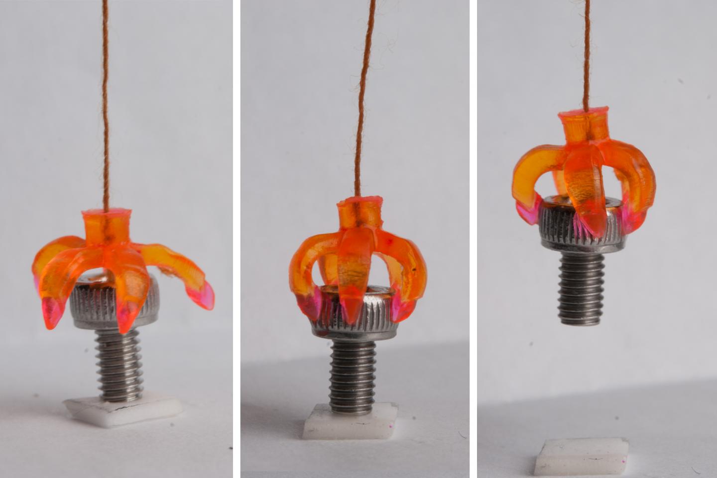 In this series, a 3-D printed multimaterial shape-memory minigripper, consisting of shape-memory hinges and adaptive touching tips, grasps a cap screw. (Image Credit: Qi (Kevin) Ge)