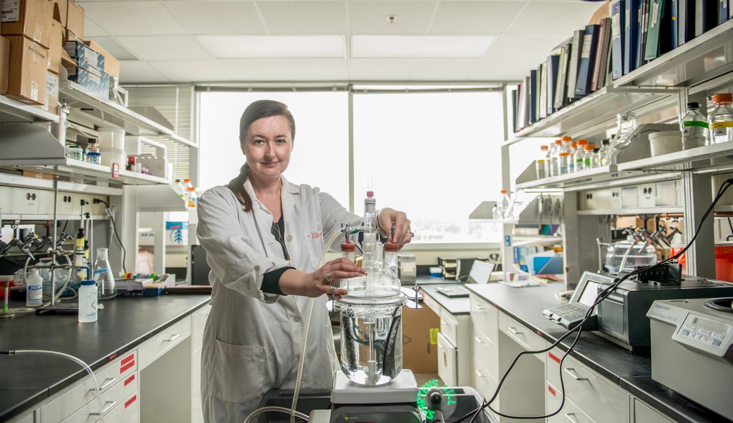 Gemma Reguera's patented bioelectrodes have an electrifying taste for waste -- and they're ready to be scaled up. (Image Credit: Kurt Stepnitz)