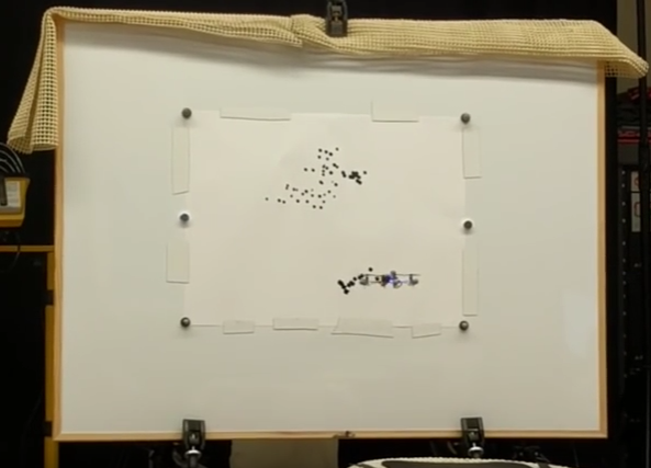 (Image via McGill Hill Video)