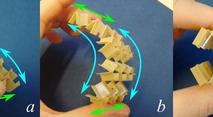Image: Bending behavior. (a) Synclastic curvature in the closed configuration; (b) cylindrical curvature in the open rec configurations; (c) an open rec specimen folder double. Credit: University of Bristol