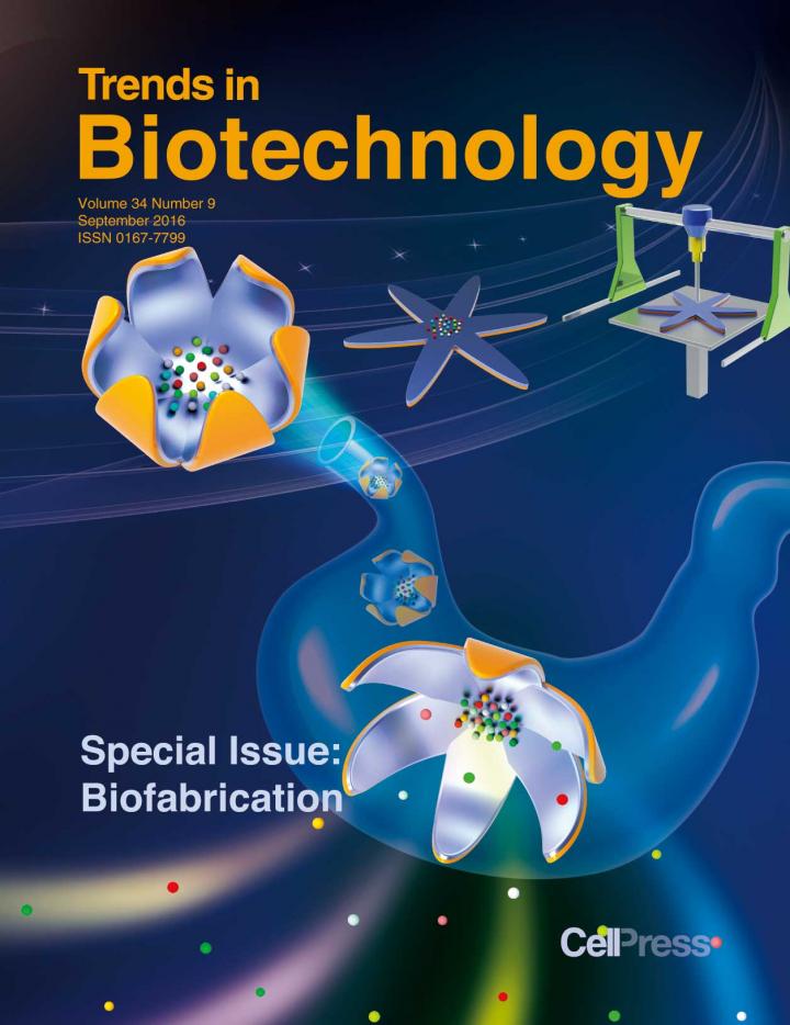Trends in Biotechnology's special issue on biofabrication. CREDIT (Cover image from Feng Xu and cover design by Matthew Pavlovich)