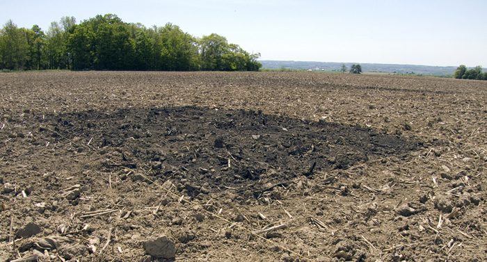 In this test plot of biochar, carbon is amended to the soil - where it stays - where it can be used as a fertilization substitute for crops.