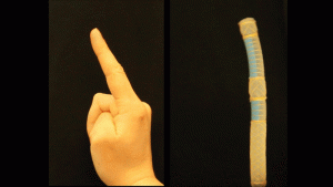 fingerrobotimageee