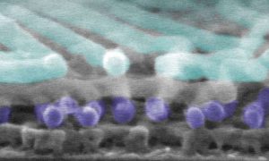 nanoscaleimage2ee