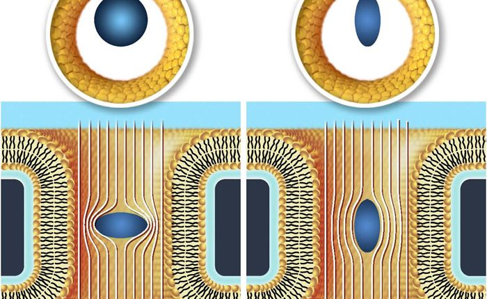3dfingerimage2ee