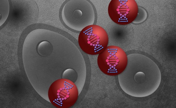 MIT Target Nanoparticles