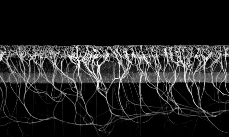 nanotube_solar