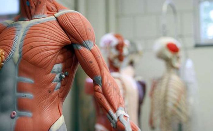 robot_human_tissue