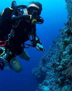 gss-diver