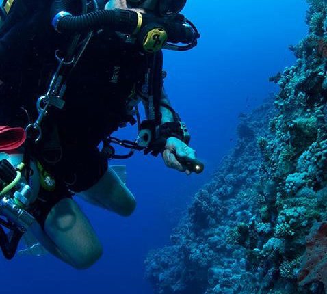 gss-diver
