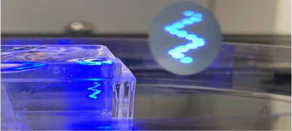 Bioprinted Helix small