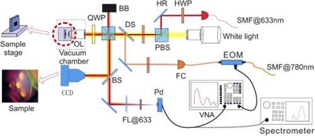 Schematic representation of an experimental setup for receiving and recording phonon radiation. Credit: Konstantin Arutyunov et al.