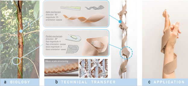 programmable structures 3d printing