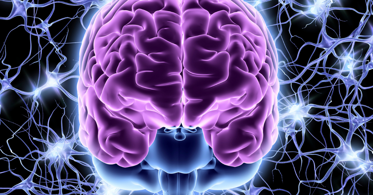 Central Nervous system