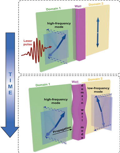 Using femtosecond laser pulses, it is possible to induce magnetic waves (coherent spin waves) in an antiferromagnetic domain (above). The magnetic waves of adjacent domains are coupled with each other across domain walls at the ultrafast timescale (below). Copyright: Davide Bossini