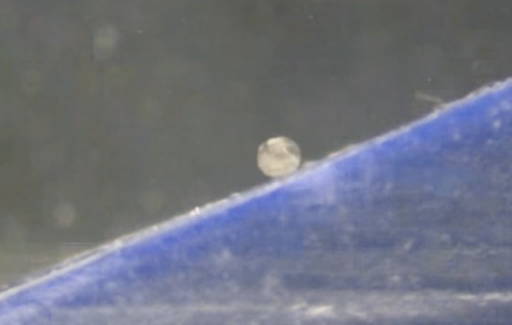 Video from Supplementary Material Showing a Maniac Robot in Action. Credit: Mair, Adam, Chowdhury et al. 2021