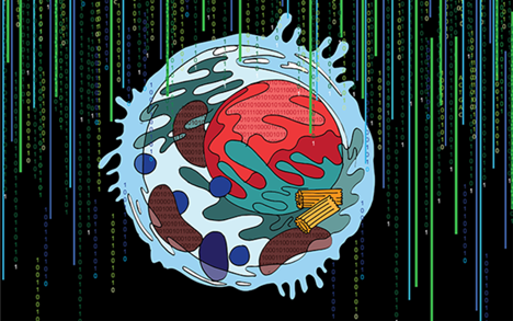 UC SAN DIEGO RESEARCHERS INTRODUCE MULTI-SCALE INTEGRATED CELL (MUSIC), A TECHNIQUE THAT COMBINING MICROSCOPY, BIOCHEMISTRY AND AI, REVEALING PREVIOUSLY UNKNOWN CELL COMPONENTS CREDIT: UC SAN DIEGO HEALTH SCIENCES