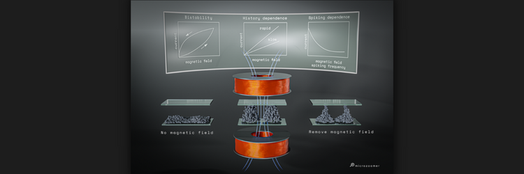 EEDI-bistability-material-memory