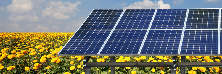 EEDI-Solar-Farms-Heal-Earth