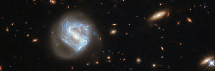 EEDI-AI-Galaxy-Clusters