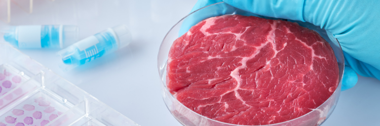 EEDI-cell-cultured-meat