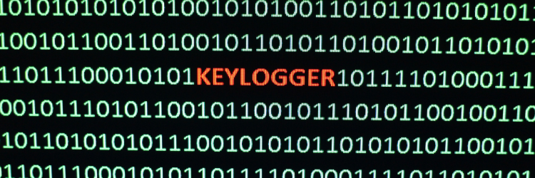 EEDI Australian insurance company fired employee on keystroke logger