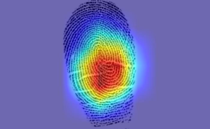 Low-Res_Fingerprints LIPSON 02