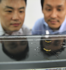 SNU and Harvard team develop a semi-aquatic jumping robot. (Image Credit: Seoul National University)