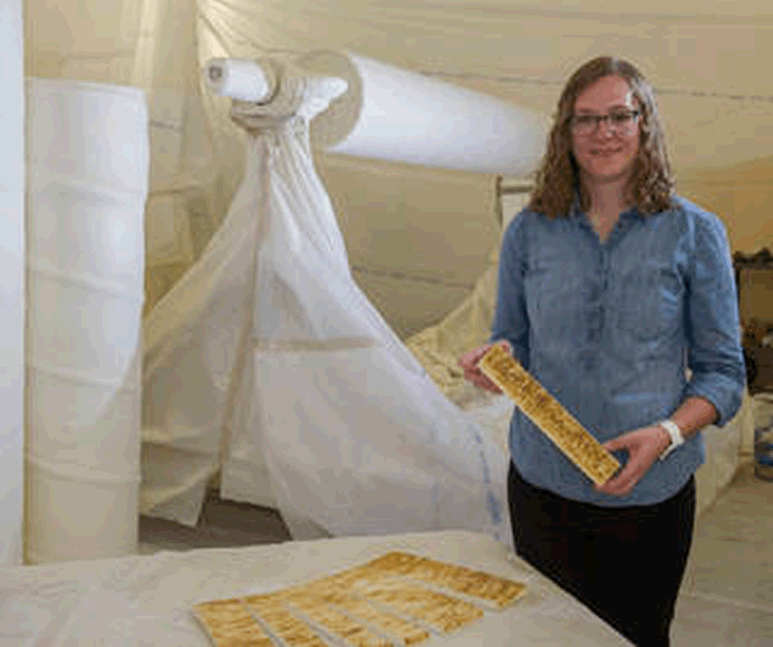 nasainsulationimageee