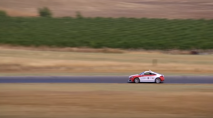 Shelly in action. (Image via Stanford/YouTube)